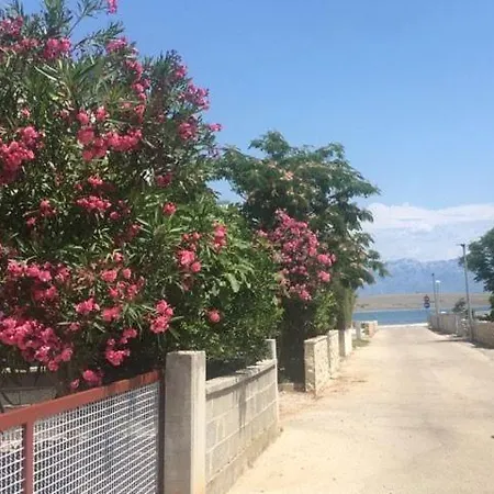 Marina, *